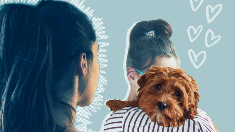 https://wbhm.org/wp-content/uploads/2025/04/dearlifekit-doubt-dog-blue-800x450.png