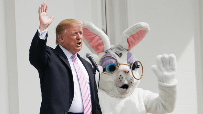 https://wbhm.org/wp-content/uploads/2025/04/gettyimages-1138726200-800x450.png