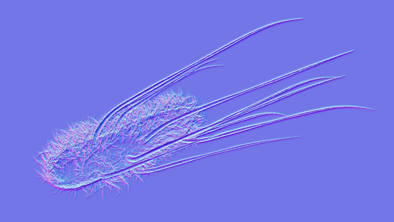 Escherichia coli or E. coli is a part of family of bacteria that are commonly found in the human gut. Scientists found that a toxin the bacteria release is linked to some cases of colorectal cancer.