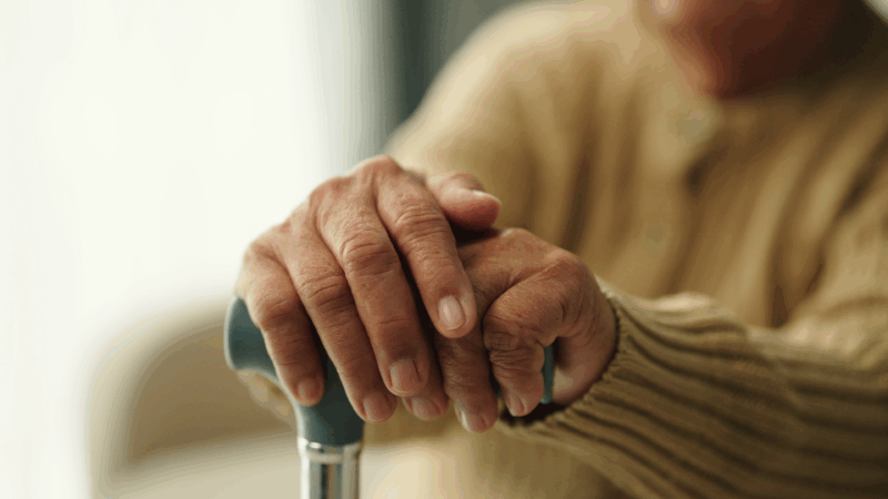 https://wbhm.org/wp-content/uploads/2025/04/gettyimages-2012473987-800x450.png