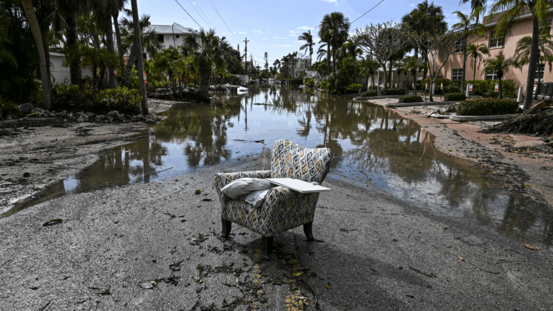 https://wbhm.org/wp-content/uploads/2025/04/gettyimages-2177097712-800x450.png