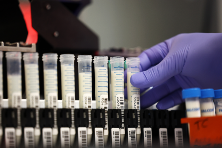 A lab manager in the molecular diagnostic lab prepares milk samples for testing at the Animal Health Diagnostic Center at Cornell University in Ithaca, N.Y., on Dec. 10, 2024, amid increased concern over a strain of the H5N1 avian flu.