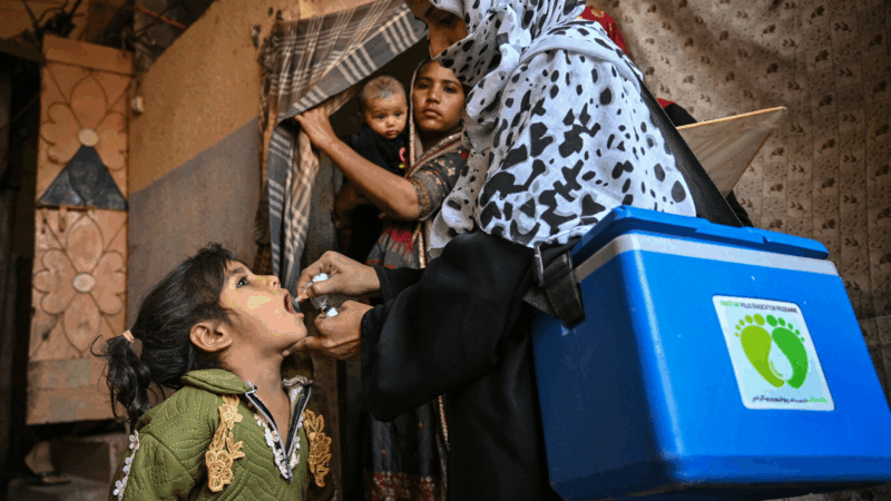 https://wbhm.org/wp-content/uploads/2025/04/gettyimages-2196858192-800x450.png