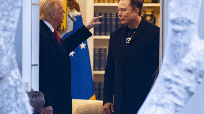 https://wbhm.org/wp-content/uploads/2025/04/gettyimages-2204569362-800x450.png