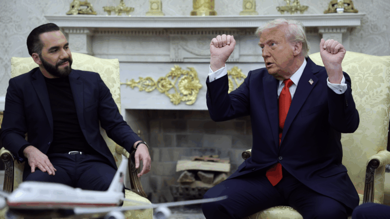 https://wbhm.org/wp-content/uploads/2025/04/gettyimages-2210243156-800x450.png