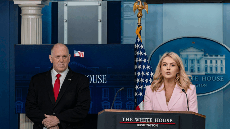https://wbhm.org/wp-content/uploads/2025/04/gettyimages-2211887705-800x450.png