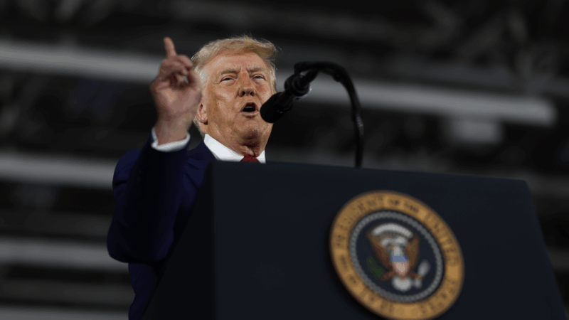 https://wbhm.org/wp-content/uploads/2025/04/gettyimages-2212645692-800x450.png