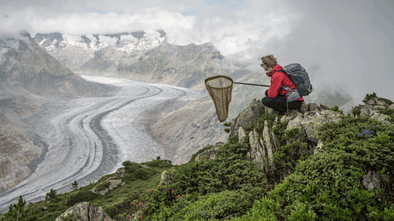 https://wbhm.org/wp-content/uploads/2025/04/lucas-foglia-constant-bloom-fredericks-freiser-011-800x450.png