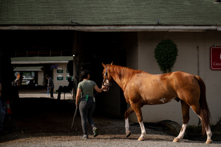 Photographed from the back, a worker leads a brown racehorse back to the stables at a racetrack in Louisville, Kentucky, on April 29.