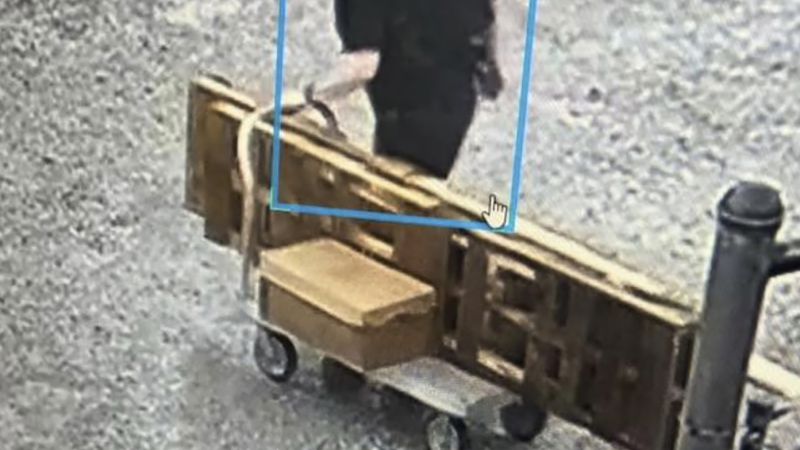 https://wbhm.org/wp-content/uploads/2025/05/ap25147689031558-800x450.png