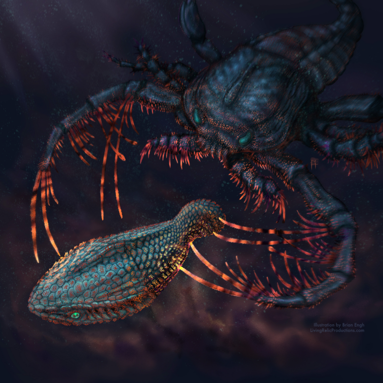This illustration depicts the early jawless vertebrate Astraspis being attacked by the sea-scorpion Megalograptus in dark, shallow waters. Both animals likely had tooth-like scales on their bodies that would have allowed them to sense things in the waters around them.