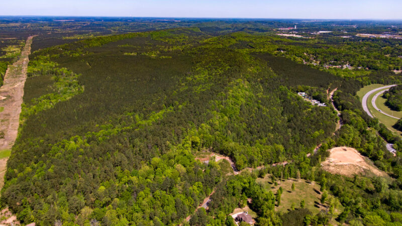 https://wbhm.org/wp-content/uploads/2025/05/bessemer_data_center_ICN-e1747427132365-800x450.jpg