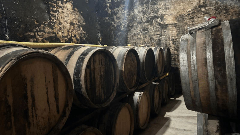 https://wbhm.org/wp-content/uploads/2025/05/champagne-barrels-fourny-et-fils-5369544-800x450.png