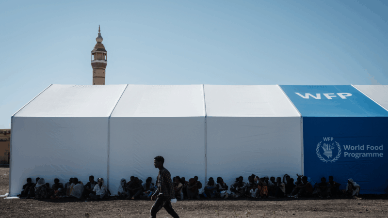 https://wbhm.org/wp-content/uploads/2025/05/gettyimages-1229912545-800x450.png