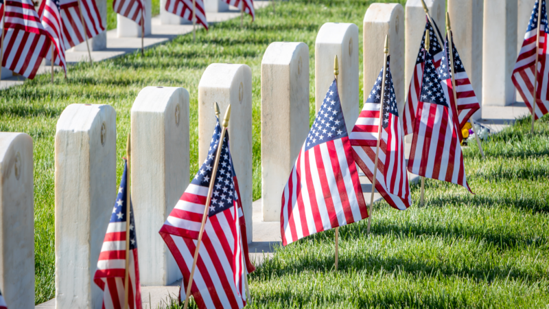 https://wbhm.org/wp-content/uploads/2025/05/gettyimages-1409727080-800x450.png