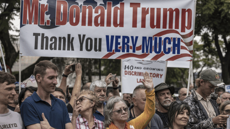 https://wbhm.org/wp-content/uploads/2025/05/gettyimages-2199006706-800x450.png