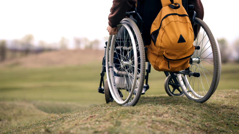 https://wbhm.org/wp-content/uploads/2025/05/gettyimages-2207440915-800x450.png