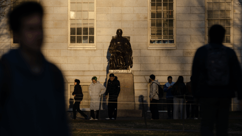 https://wbhm.org/wp-content/uploads/2025/05/gettyimages-2210118491-800x450.png