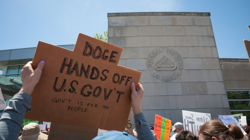 https://wbhm.org/wp-content/uploads/2025/05/gettyimages-2214393807-800x450.png