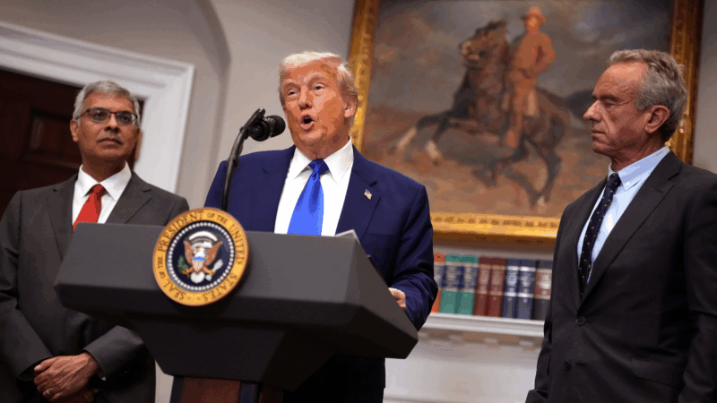 https://wbhm.org/wp-content/uploads/2025/05/gettyimages-2214702143-800x450.png