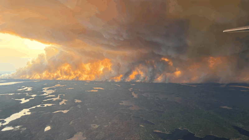 https://wbhm.org/wp-content/uploads/2025/05/gettyimages-2217035895-800x450.png