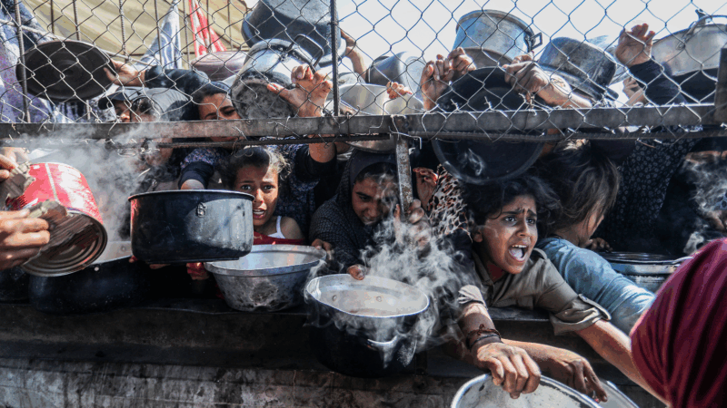 https://wbhm.org/wp-content/uploads/2025/05/gettyimages-2217049567-800x450.png