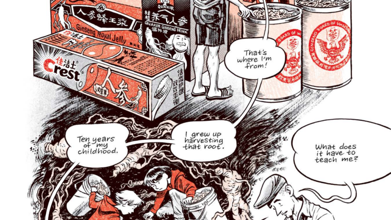 https://wbhm.org/wp-content/uploads/2025/05/ginseng-roots-excerpt-pages-1-page-01-800x450.png