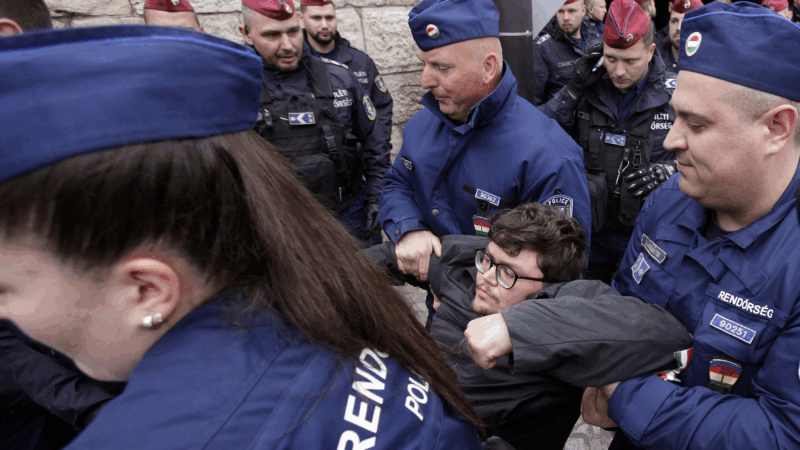 https://wbhm.org/wp-content/uploads/2025/05/protest-800x450.png