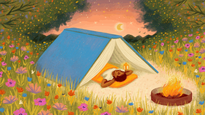 https://wbhm.org/wp-content/uploads/2025/05/summerbooks1-800x450.png