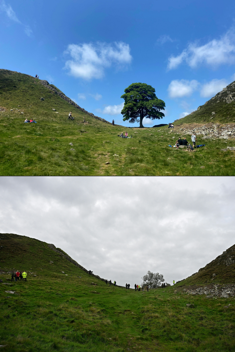 Two men are now convicted of charges related to cutting down a historic tree in England. A combination of pictures shows, top, the Sycamore Gap tree along Hadrian's Wall near Hexham, northern England on June 4, 2023, and bottom, the felled Sycamore Gap tree, on Sept. 28, 2023.