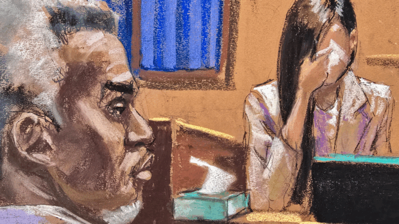 https://wbhm.org/wp-content/uploads/2025/06/2025-06-09t205823z-360046174-rc21zeat6qlv-rtrmadp-3-people-sean-combs-800x450.png