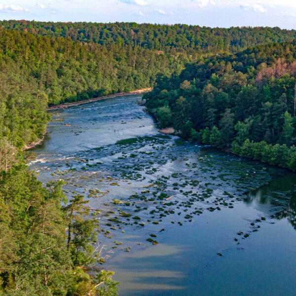https://wbhm.org/wp-content/uploads/2025/06/Cahaba_ICN-600x600.jpg