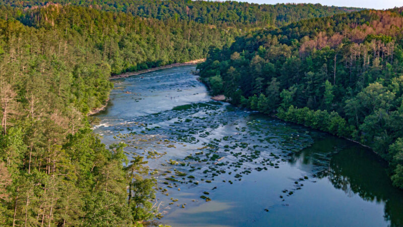 https://wbhm.org/wp-content/uploads/2025/06/Cahaba_ICN-800x450.jpg