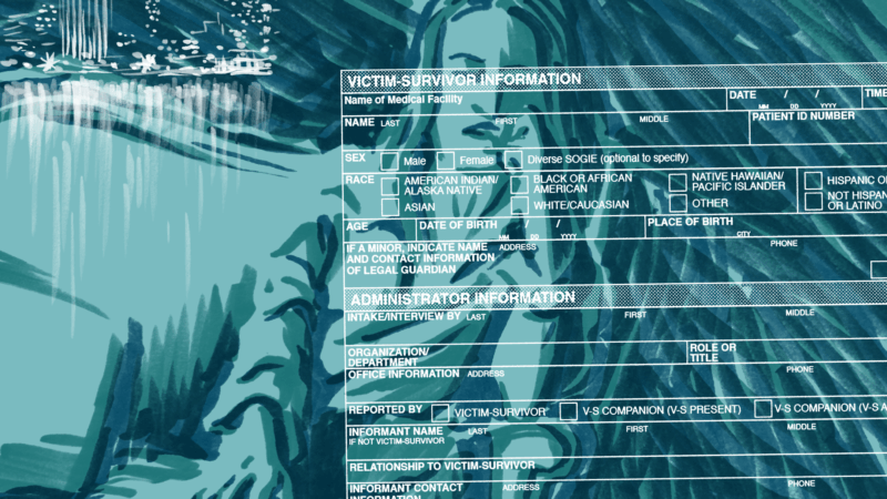 https://wbhm.org/wp-content/uploads/2025/06/SANE_1_Lead_Illo_Review_2-800x450.png