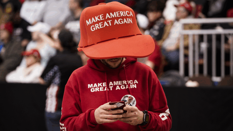 https://wbhm.org/wp-content/uploads/2025/06/gettyimages-1199945897-800x450.png