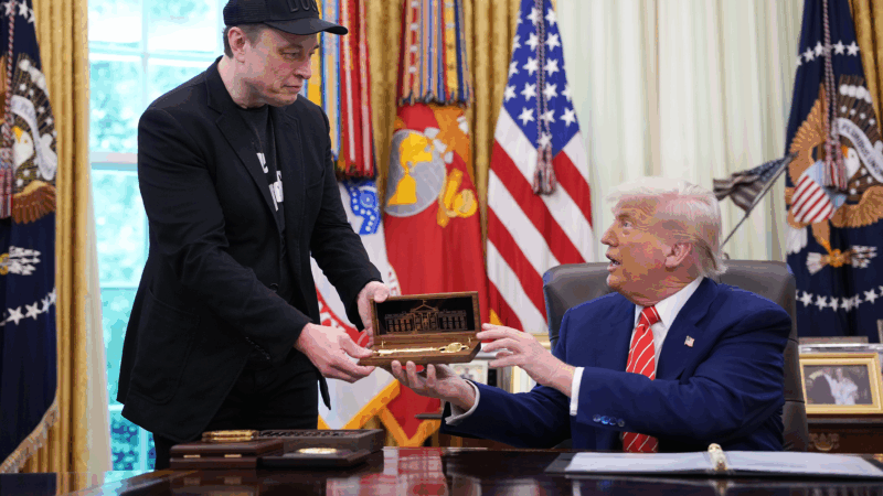 https://wbhm.org/wp-content/uploads/2025/06/gettyimages-2217857514-800x450.png