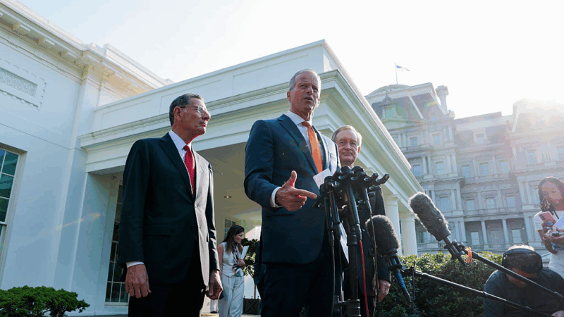 https://wbhm.org/wp-content/uploads/2025/06/gettyimages-2218682261-800x450.png