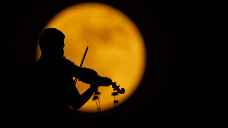 https://wbhm.org/wp-content/uploads/2025/06/gettyimages-2218965903-800x450.png