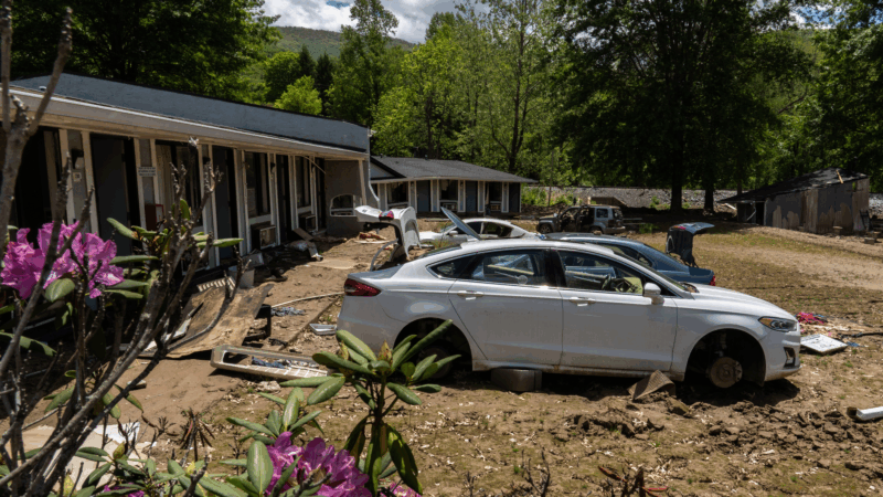 https://wbhm.org/wp-content/uploads/2025/06/hammar-nc-flooding-5-800x450.png