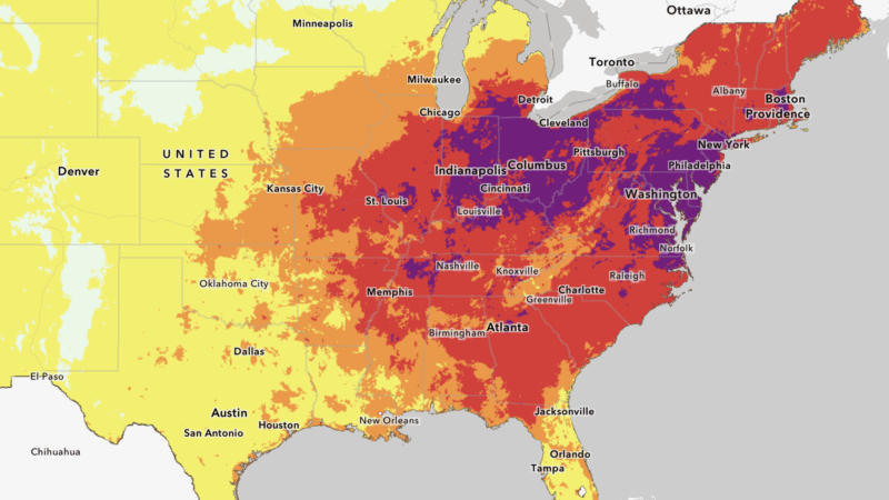 https://wbhm.org/wp-content/uploads/2025/06/heat-dome-us-7-day-800x450.png