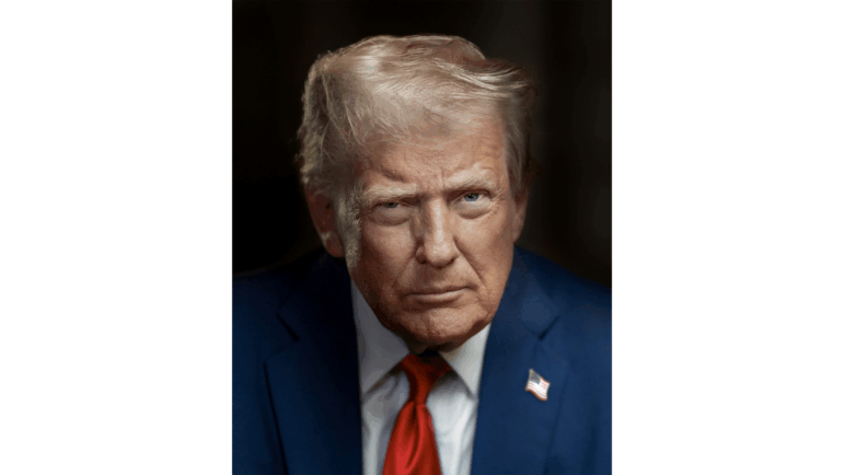 The new official portrait of Donald Trump shows the president staring into the camera with an expressionless face.