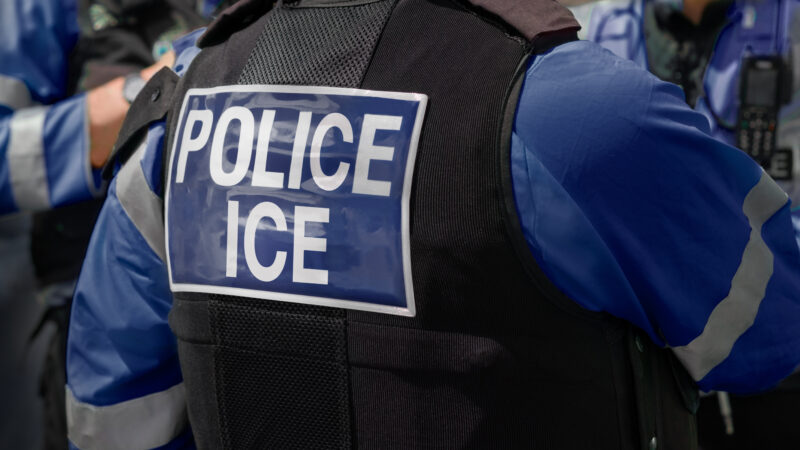 https://wbhm.org/wp-content/uploads/2025/07/ICE_Stock_Image-800x450.jpeg