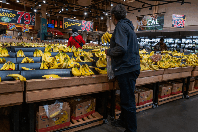 A coalition of states is suing the federal government to prevent it from gathering personal data on tens of millions of people who receive food assistance.