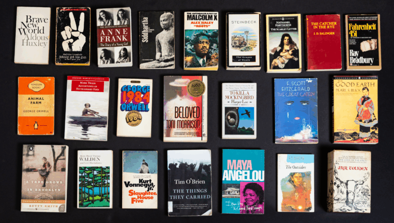Book covers of: To Kill a Mockingbird; 1984; The Catcher in the Rye; Fahrenheit 451; The Grapes of Wrath; The Great Gatsby; A Tree Grows in Brooklyn; Animal Farm; Slaughterhouse-Five; I Know Why the Caged Bird Sings; The Lord of the Rings; The Outsiders; Adventures of Huckleberry Finn; The Autobiography of Malcolm X; Johnny Got His Gun; Siddhartha; Anne Frank: The Diary of a Young Girl; Beloved; Brave New World; The Good Earth; The Scarlet Letter; The Things They Carried; Walden