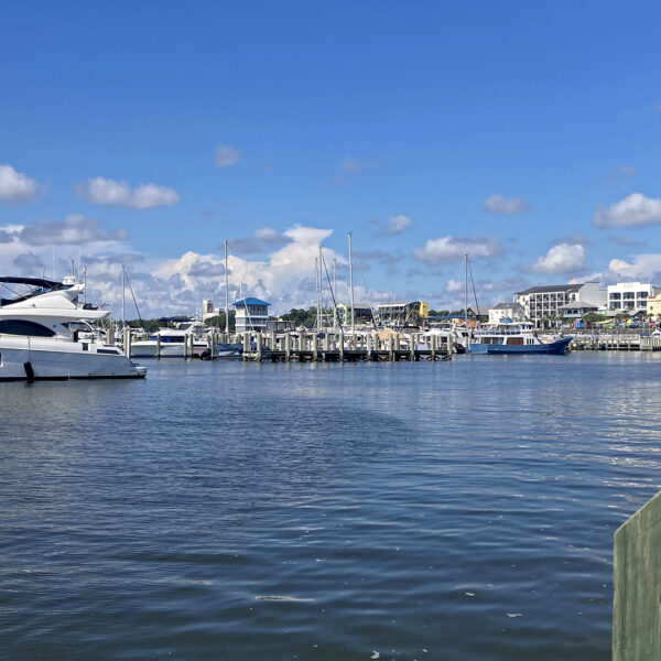 https://wbhm.org/wp-content/uploads/2025/08/Amtrak_BSL_Marina-600x600.jpg