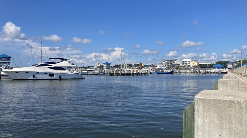 https://wbhm.org/wp-content/uploads/2025/08/Amtrak_BSL_Marina-800x450.jpg