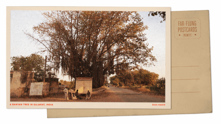 FarFlungPostcard_BANYAN-1.jpg