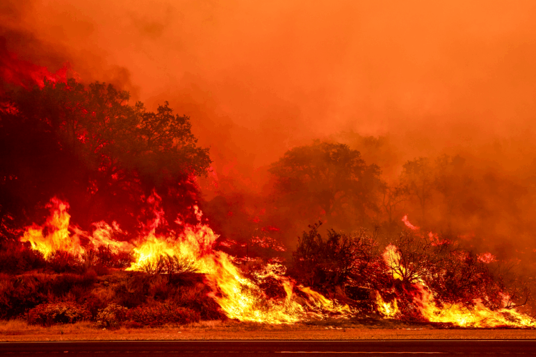 The Gifford Fire, the largest fire to burn in California so far this year, started near a road. Research shows wildfires are more likely to start near roads than they are in roadless areas.