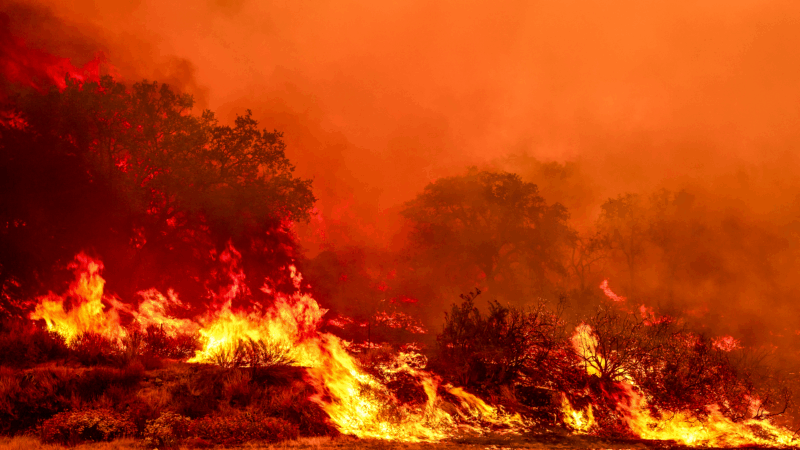 https://wbhm.org/wp-content/uploads/2025/08/gettyimages-2227748326-800x450.png