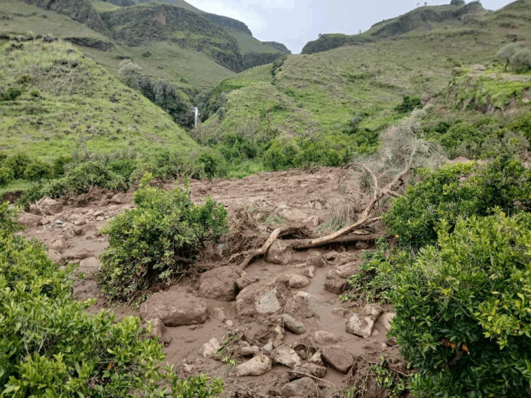 An area is damaged following a landslide that destroyed the Tersin village, in the Marra Mountains area of Sudan Sep. 1, 2025.